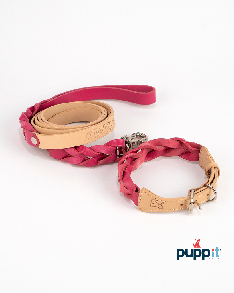 Set Correa & Collares Trenzado Natural