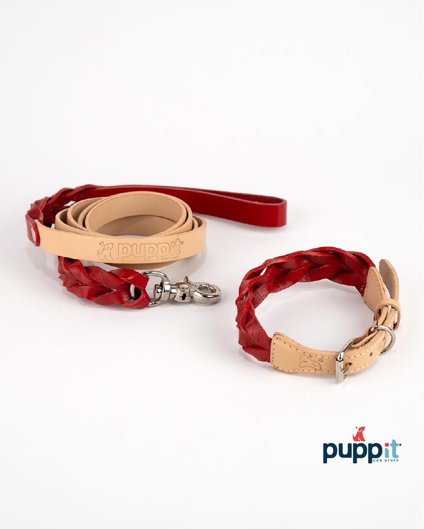 Set Correa & Collares Trenzado Natural