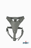 Pechera