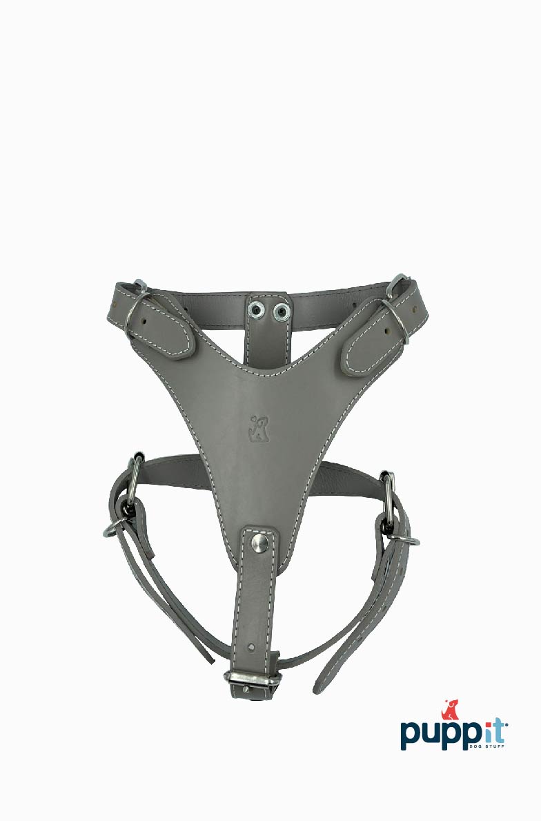 Pechera