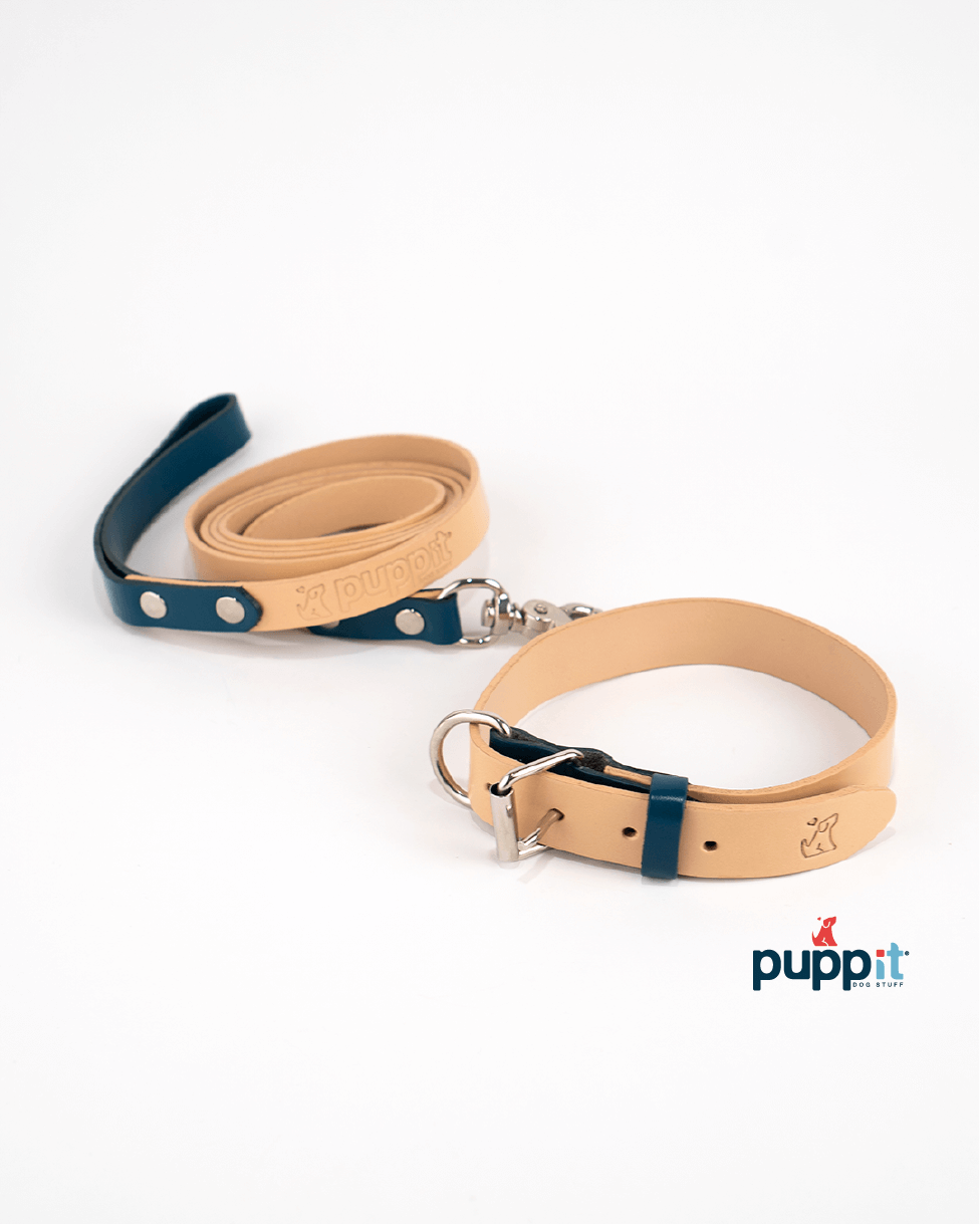 Smooth Natural/Blue Leash &amp; Collar Set