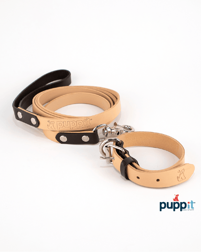 Smooth Natural/Blue Leash &amp; Collar Set