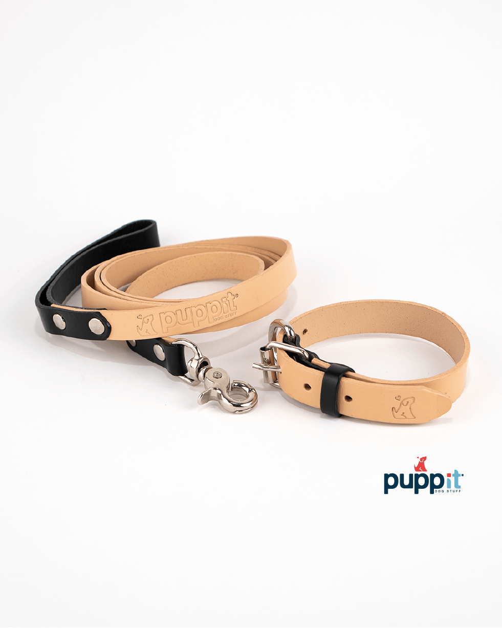 Smooth Natural/Blue Leash &amp; Collar Set