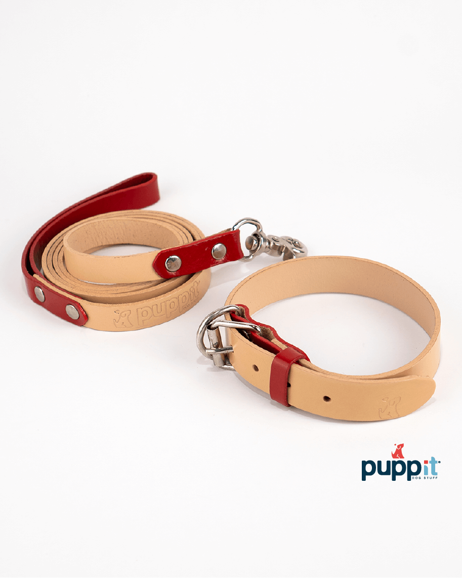 Smooth Natural/Blue Leash &amp; Collar Set