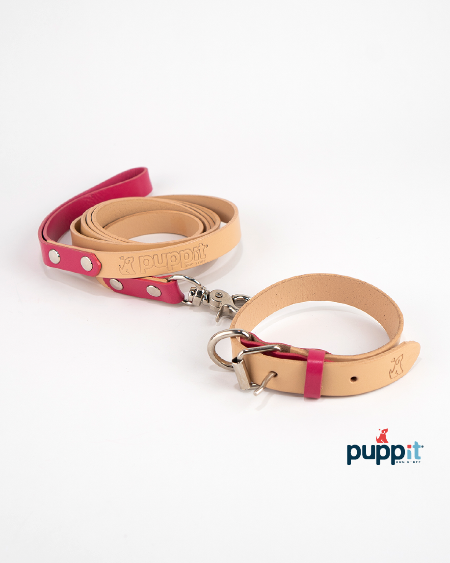 Smooth Natural/Blue Leash &amp; Collar Set