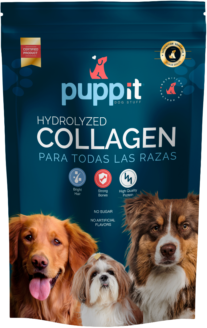 Collagen